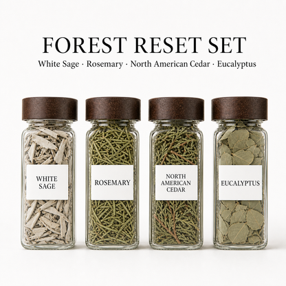 Pocket Forest Botanical Warming Sets – 120 mL Dried Herb Jars