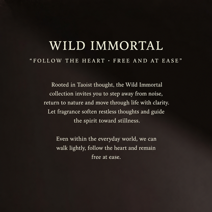 Wild Mountain Crystal Aroma Gift Set